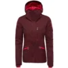 Veste De Ski The North Face W Lenado Fig Heather