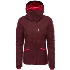 Veste De Ski The North Face W Lenado Fig Heather